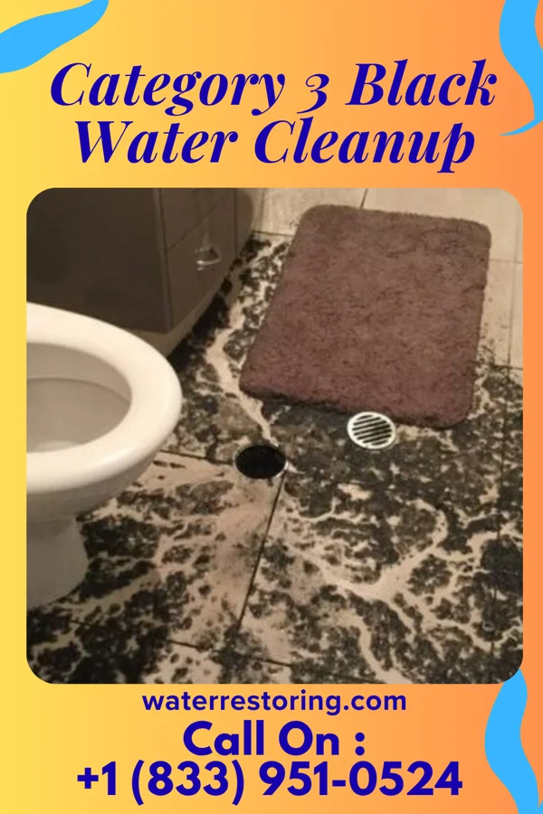 Category 3 Black Water Cleanup in Hanna, WY